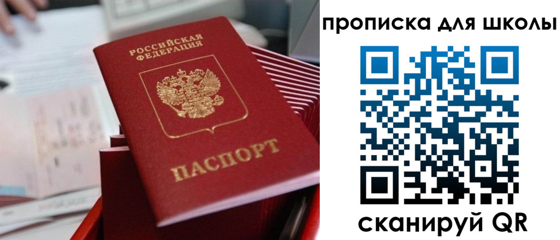 прописка для школы в Боготоле